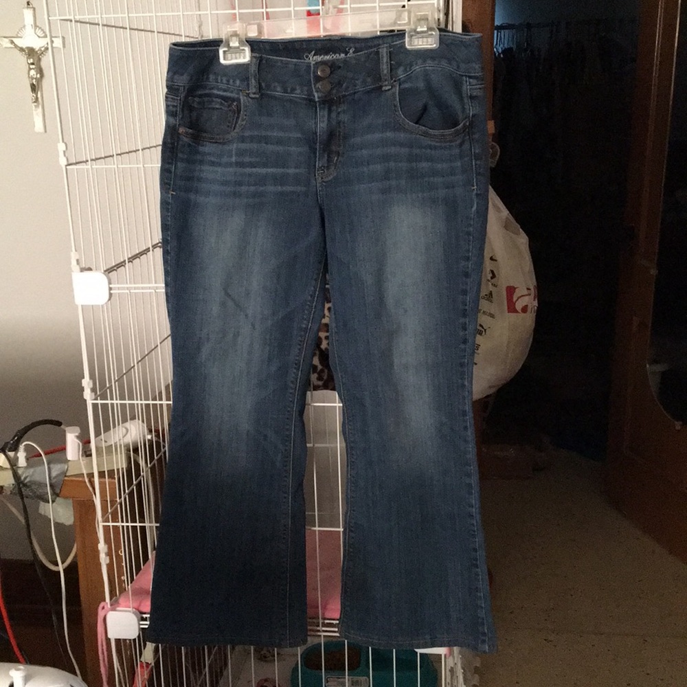 American Eagle Jeans Size 14S(Short)